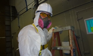 commercial-mold-remediation-job-1