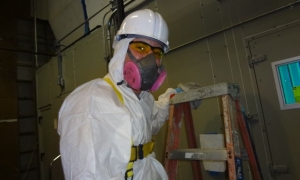 commercial-mold-remediation-job-1 commercial-mold-remediation-job-1
