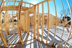 treat the framing in your home during construction to prevent future mold growth