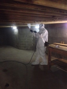Mold infestation in basement being removed by licensed mold remediator