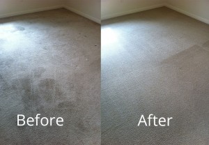 Dirty stained carpet looks new after stain removal and professional cleaning