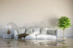 Water damage can destroy a home and valuable belongings