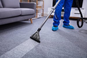 professionally cleaned carpets