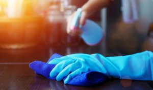 cleaning sanitizing disinfecting