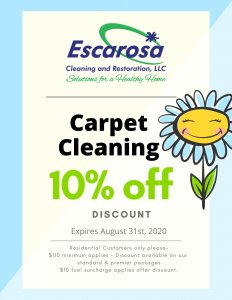 carpet cleaning special july coupon
