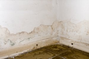 drywall wet cleanup
