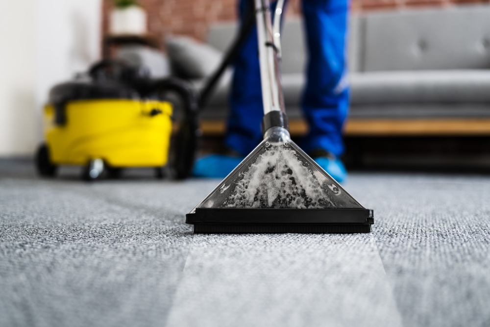 Carpet Cleaning Service