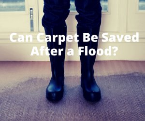 can carpet be saved after a flood