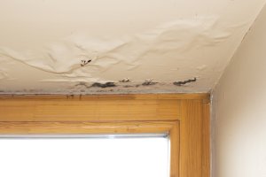 water damage restoration