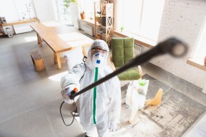 accredited mold remediator
