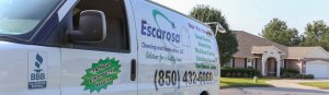 get rid of smoke smell with Escarosa cleaning
