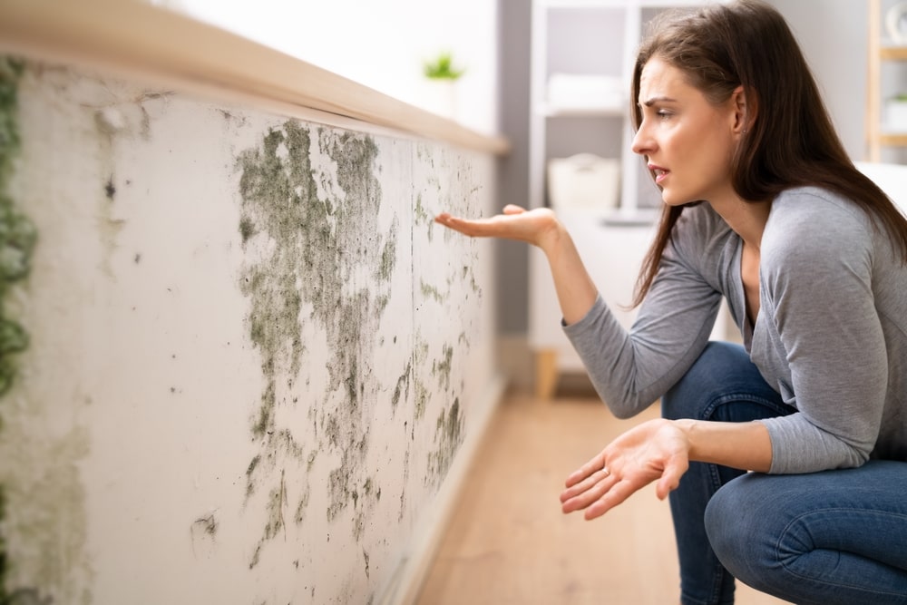 Let's Talk About Mold Control