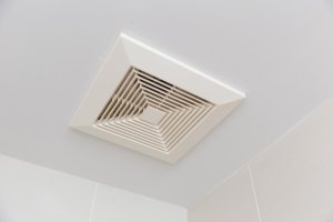 bathroom fans help prevent mold